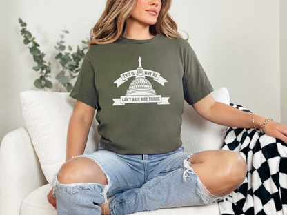 This is Why We Can't Have Nice Things, Congress Political T-Shirt