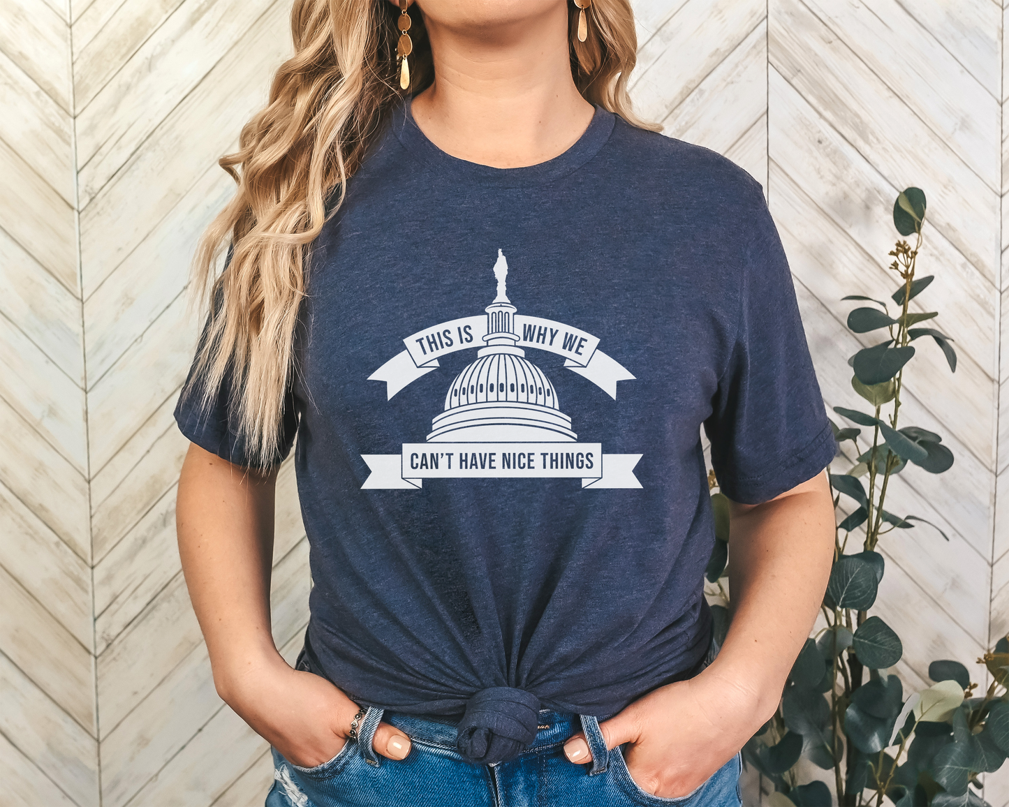 This is Why We Can't Have Nice Things, Congress Political T-Shirt