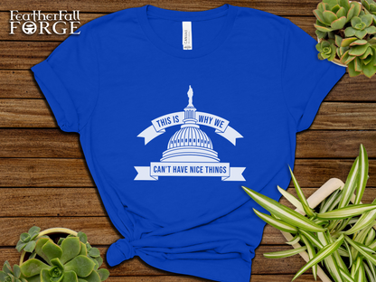 This is Why We Can't Have Nice Things, Congress Political T-Shirt